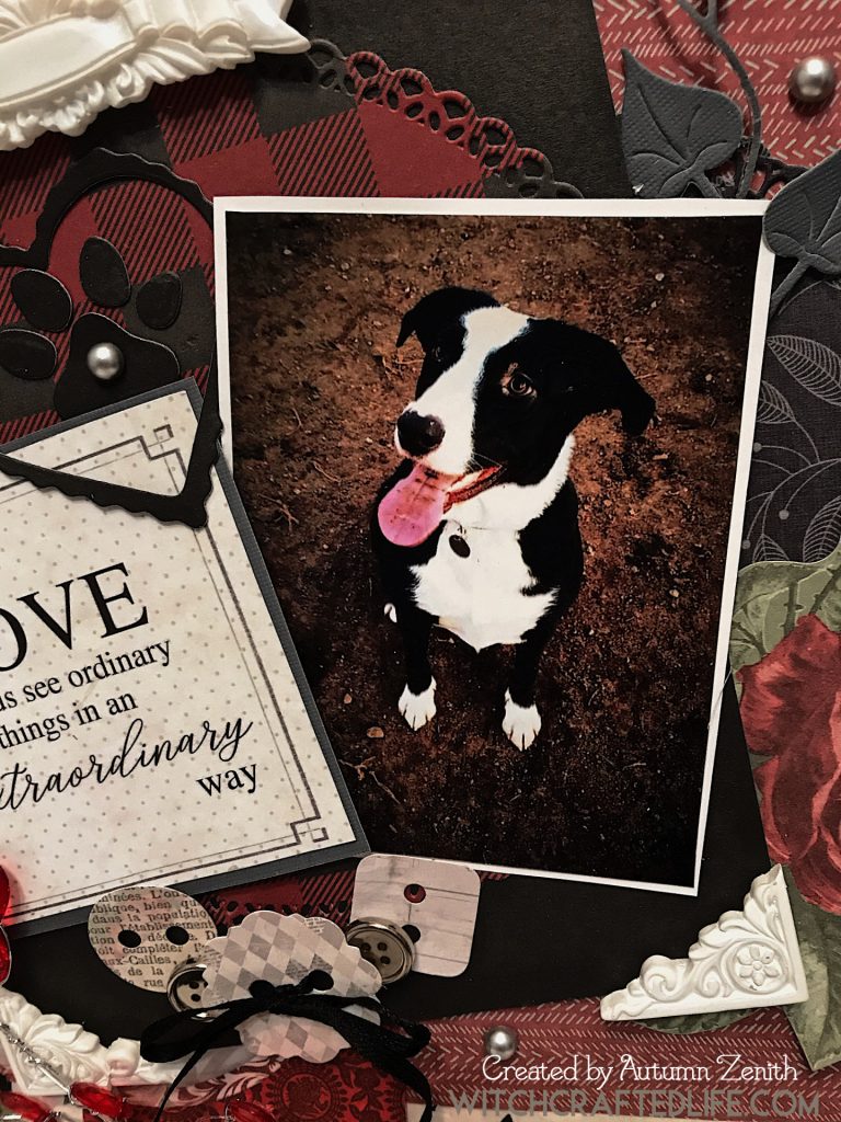 Only Love Lets Us See pet themed shabby chic layered scrapbook page