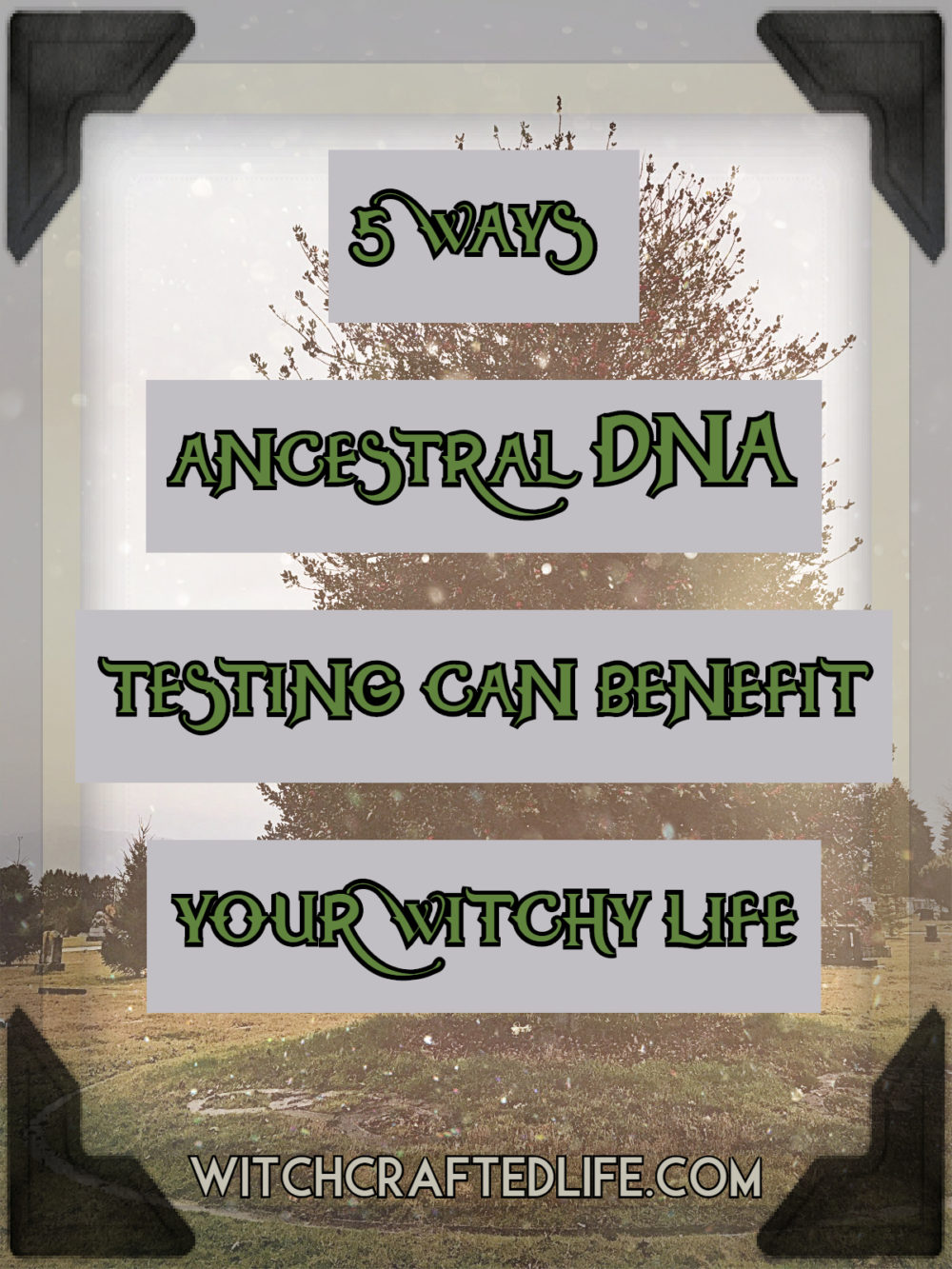 5 ways ancestral DNA testing can benefit your witchy life