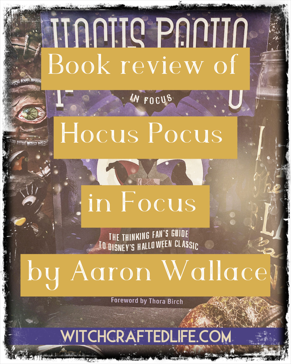 hocus focus cincinnati review hocus focus cincinnati review