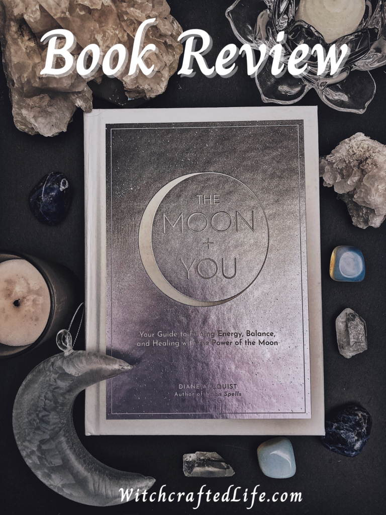 Book Review of The Moon Plus You by Diane Ahlquist