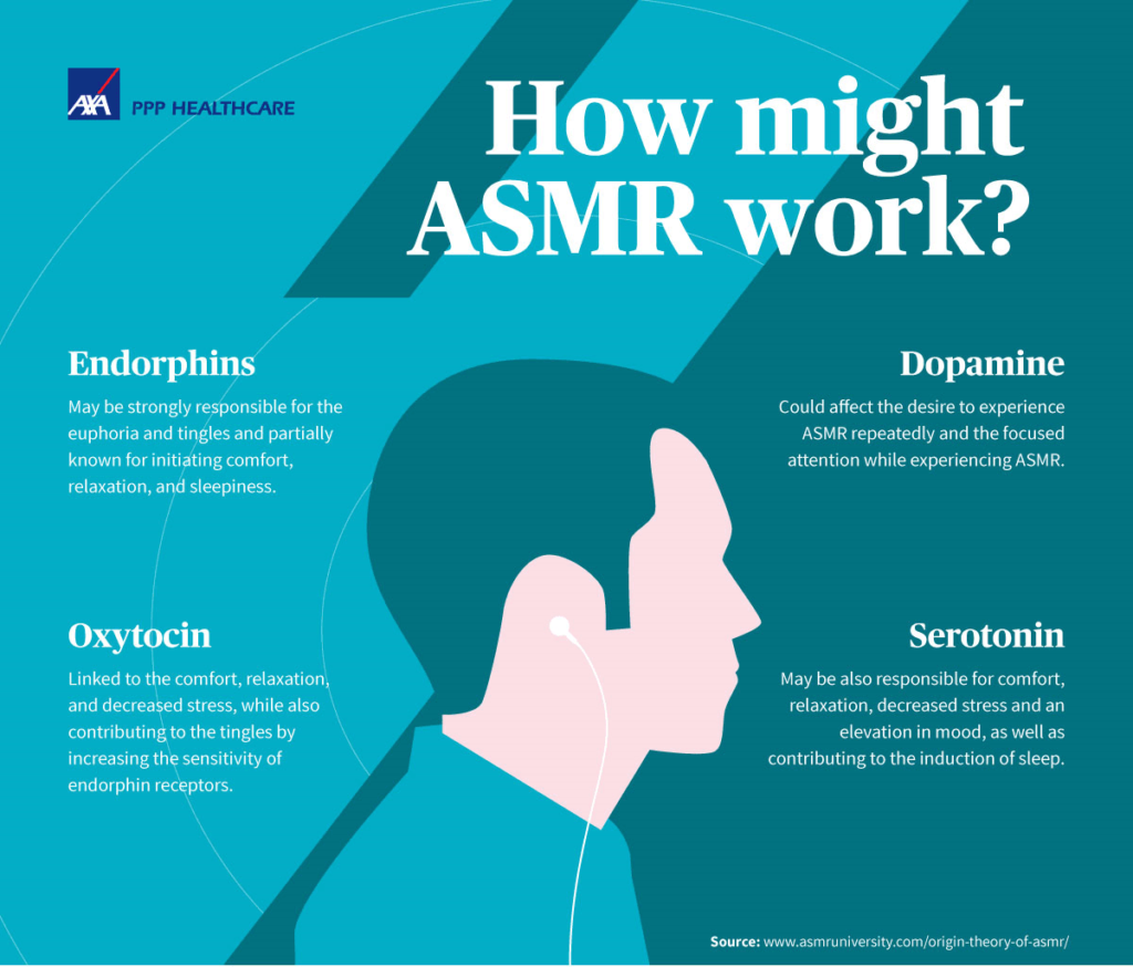 How ASMR Might Work