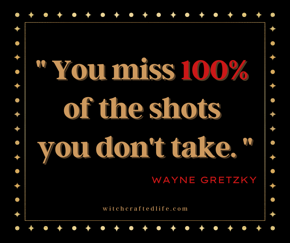 You Miss 100% of The Shots You Don't Take. ~ Wayne Gretzky quote