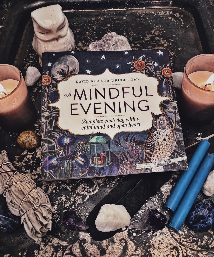 Book Review of A Mindful Evening by David Dillard-Wright