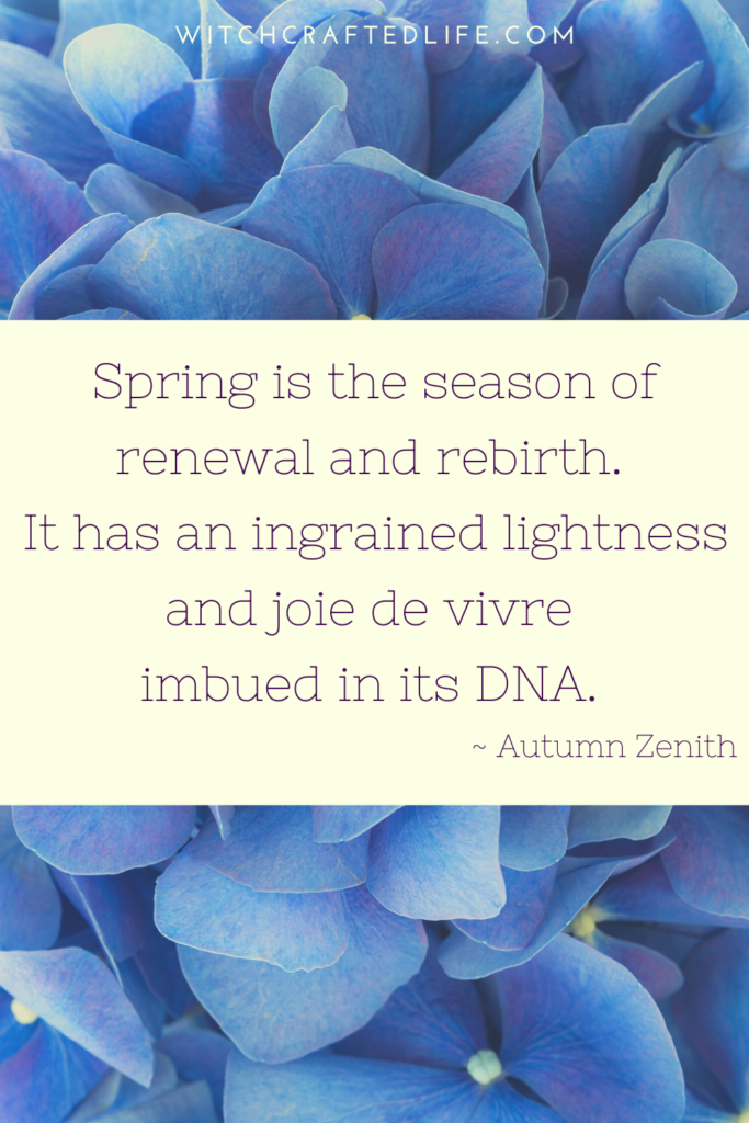 Spring is the season of renewal and rebirth quote by Autumn Zenith