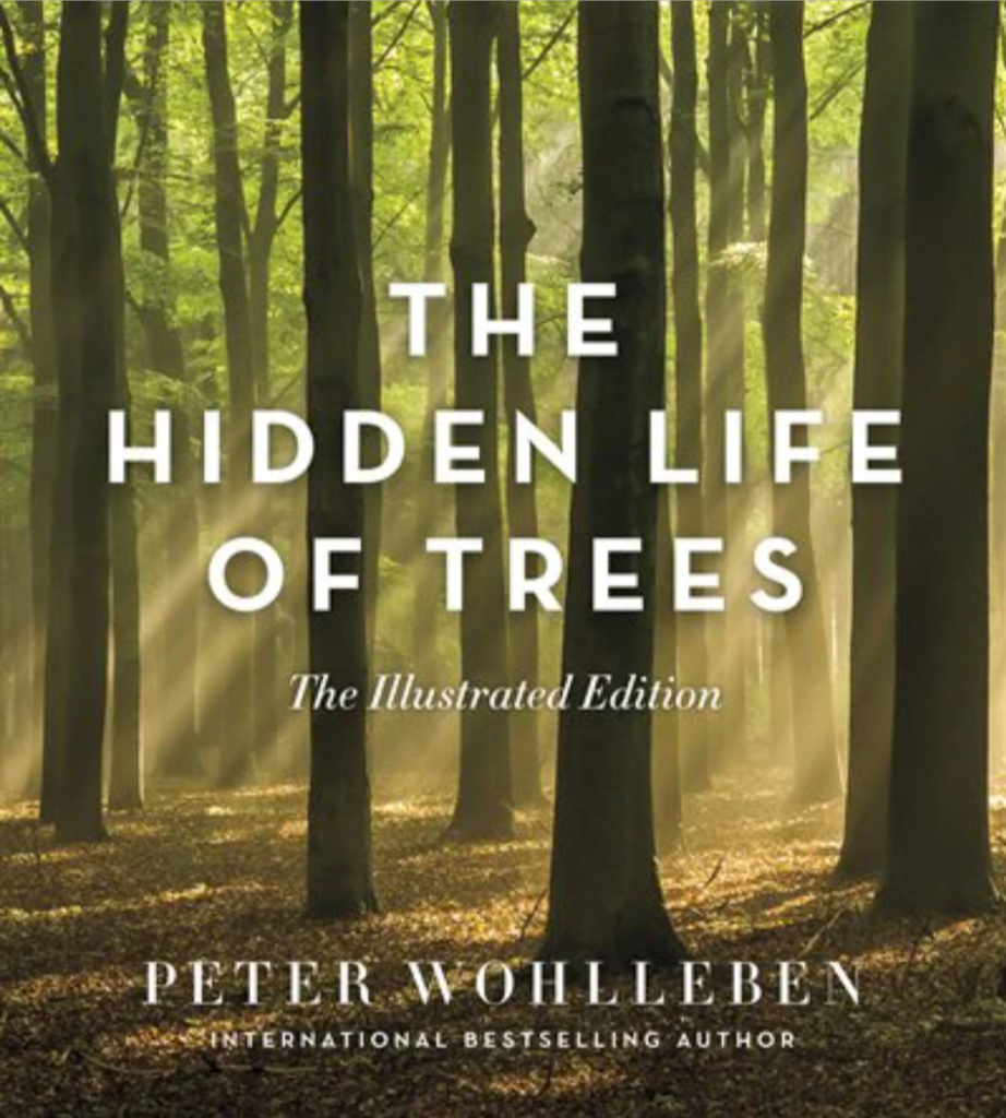 The Hidden Life of Trees: The Illustrated Edition by Peter Wohlleben