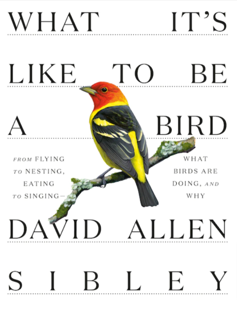 What It’s Like to Be a Bird: What Birds Are Doing and Why by David Allen Sibley