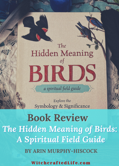 Book Review The Hidden Meaning of Birds by Arin Murphy-Hiscock