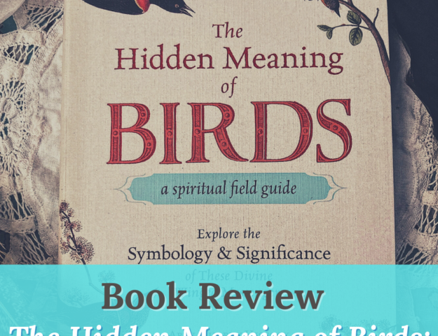 Book Review The Hidden Meaning of Birds by Arin Murphy-Hiscock