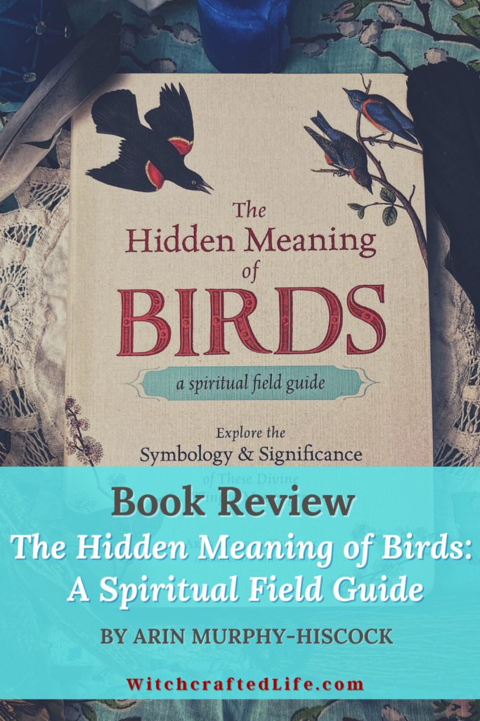 Book Review The Hidden Meaning of Birds by Arin Murphy-Hiscock