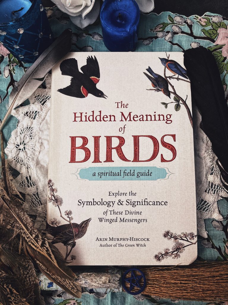 Book Review The Hidden Meaning of Birds by Arin Murphy-Hiscock