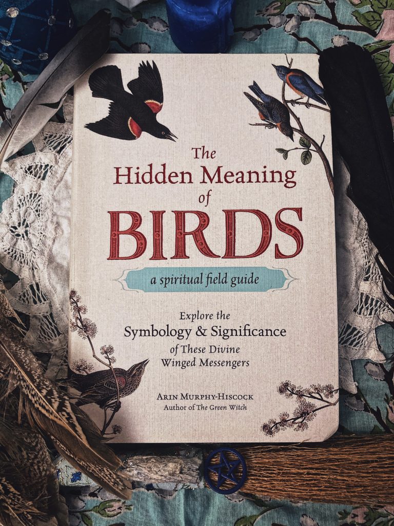 Book Review The Hidden Meaning of Birds by Arin Murphy-Hiscock