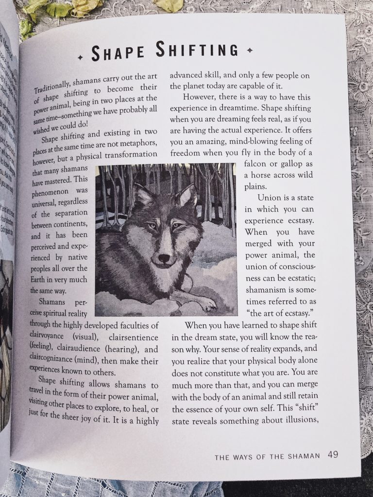 Book Review: Spirit Animal Guides by Chris Luttichau
