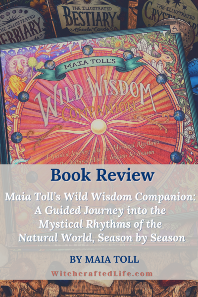 Letting Magic In by Maia Toll