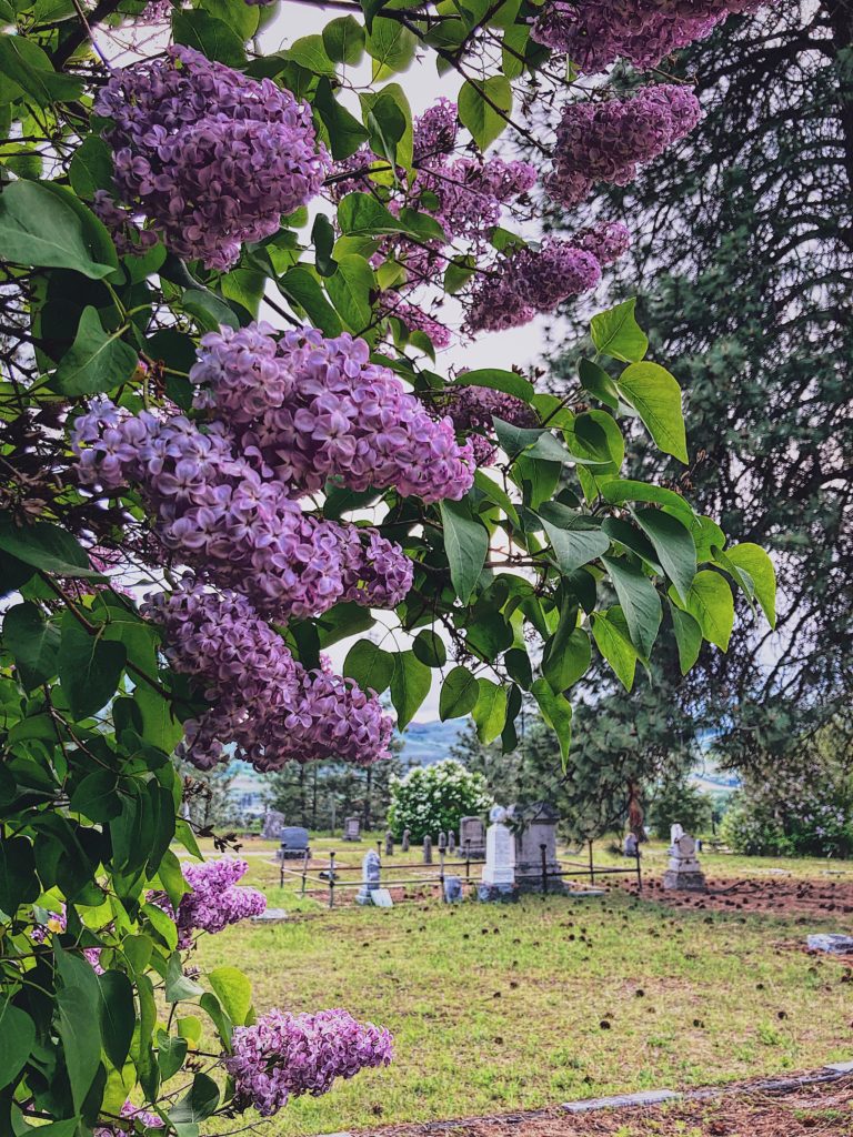 The Past and Present History of Pleasant Valley Cemetery, Vernon, British Columbia, Canada